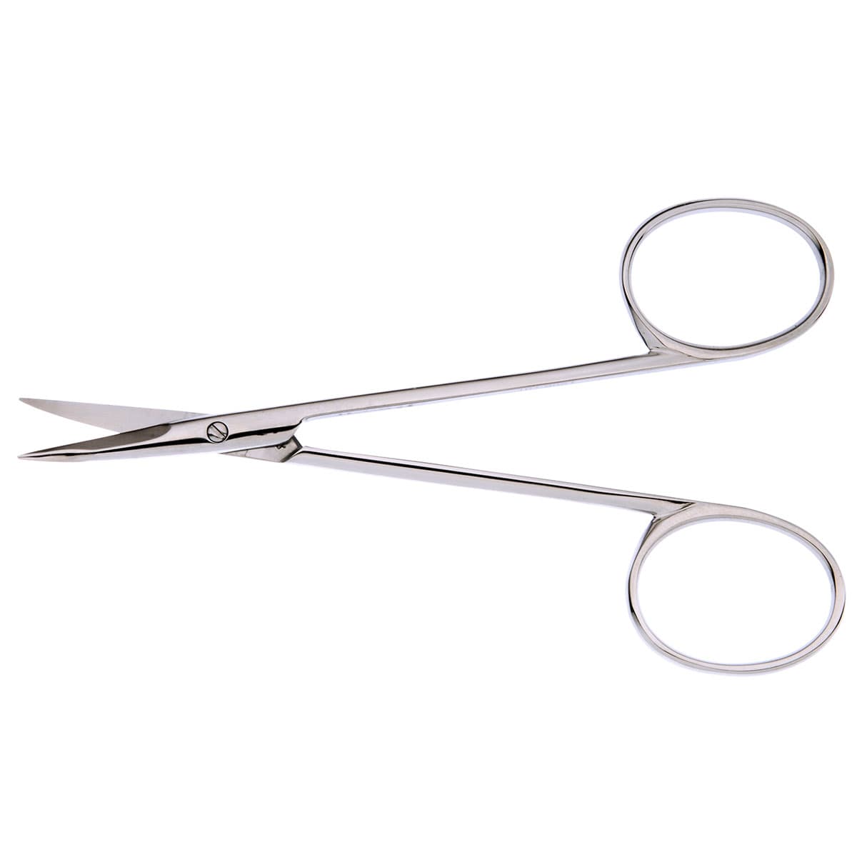 KAYE Dissecting Scissors