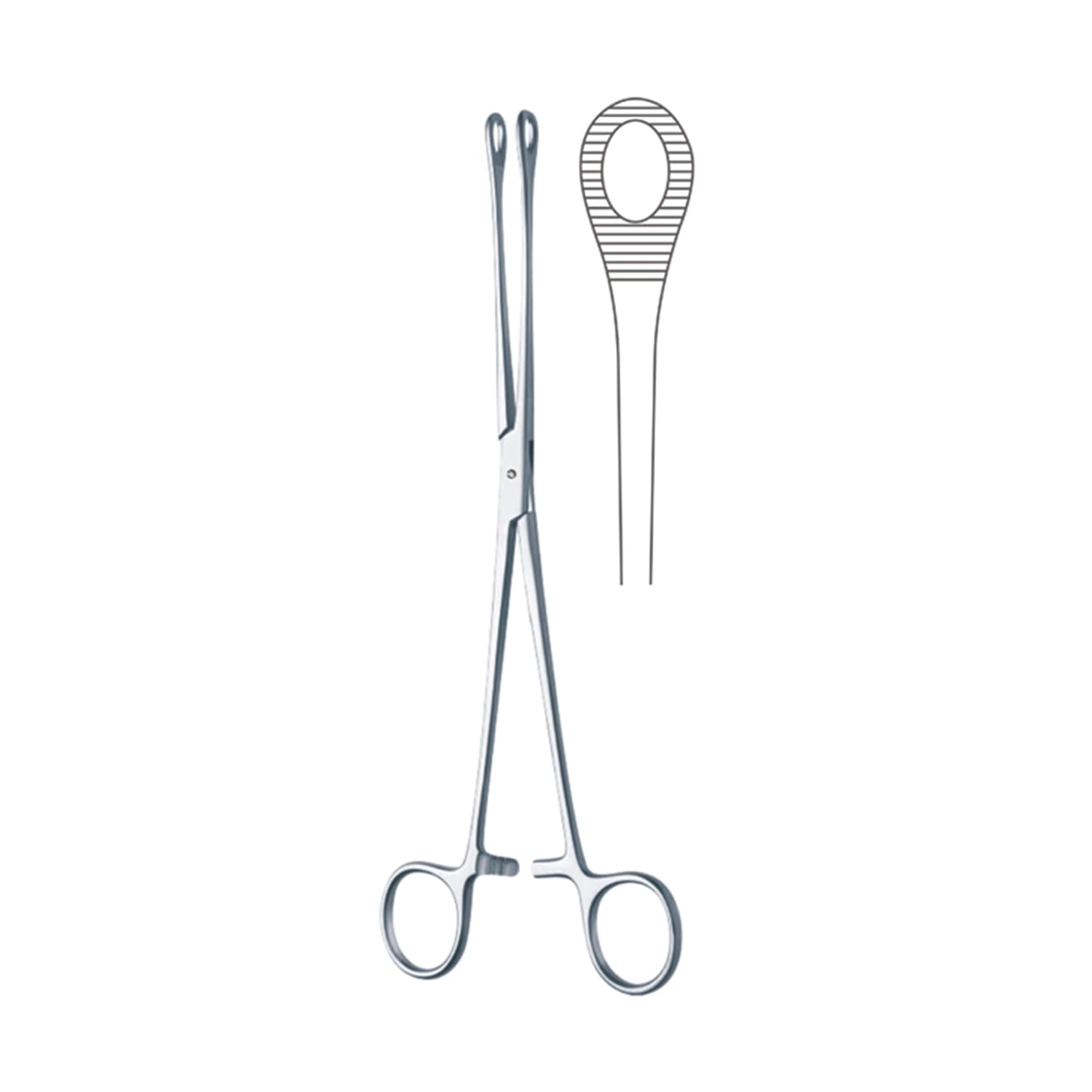 BERGMANN Sponge Forceps