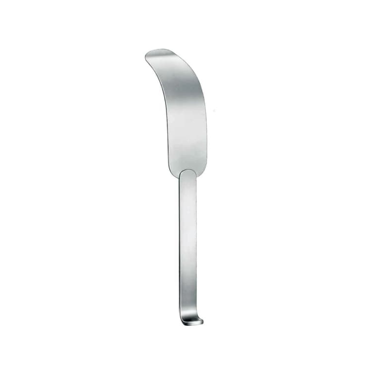Abdominal Spatula