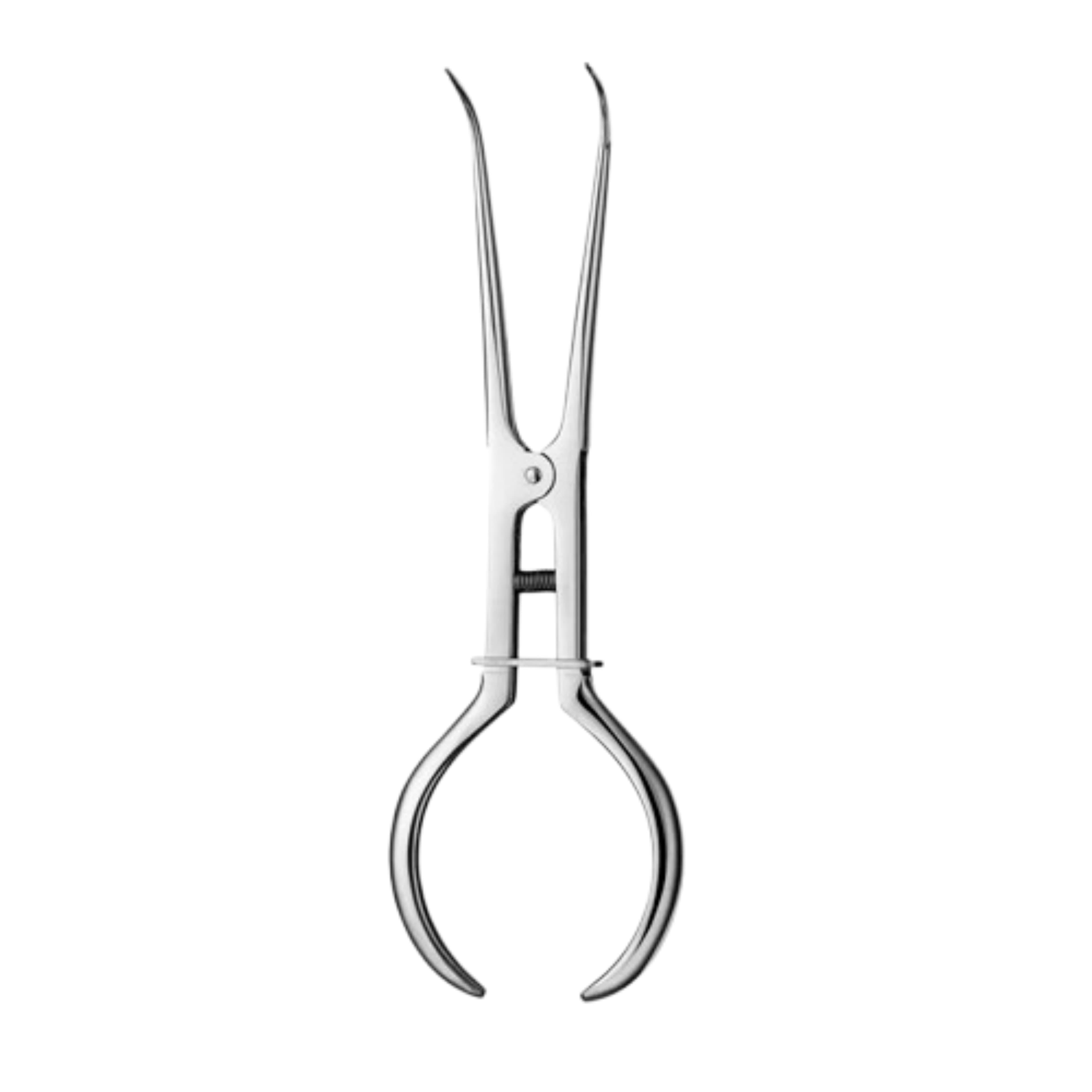 STOCKES Clamp Forceps